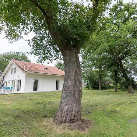 Petite Cassora Herm