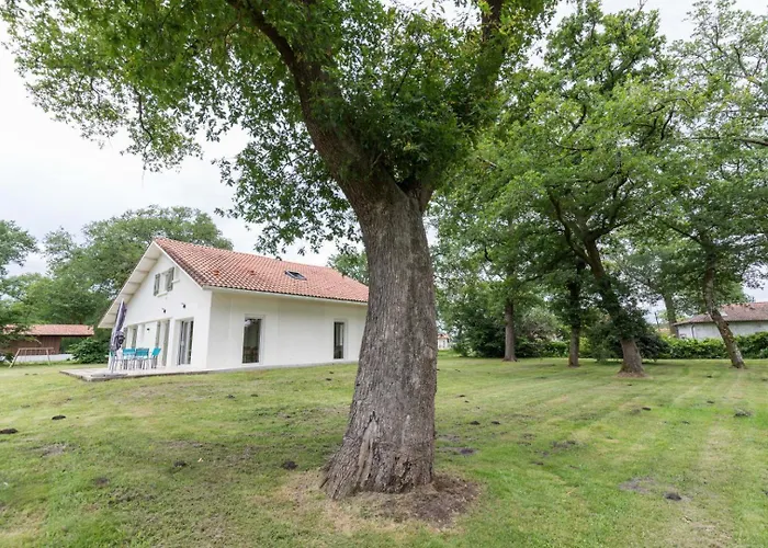 Petite Cassora * Herm